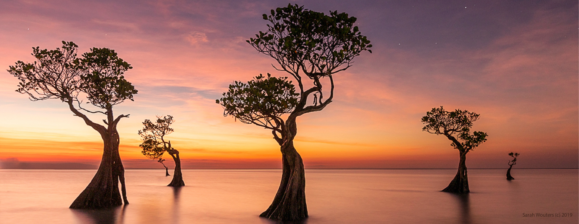 WELL/BEINGS 6th Annual Full Circle Benefit